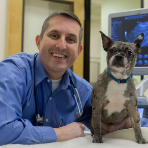 Veterinary Specialist
