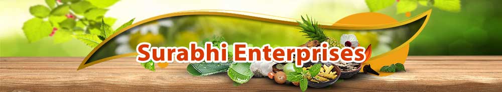 Surabhi Enterprises Banner Image